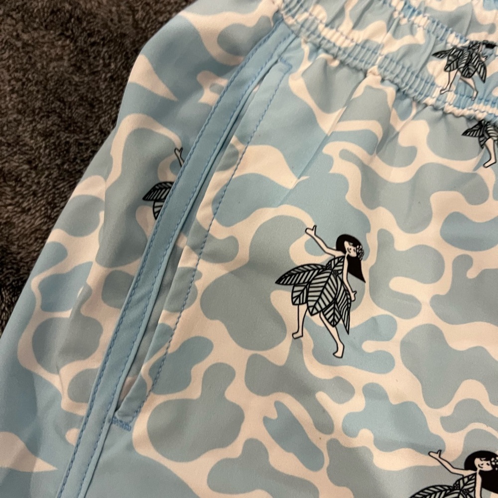 Mr. Swim Swim Trunks - Picture 2 of 4